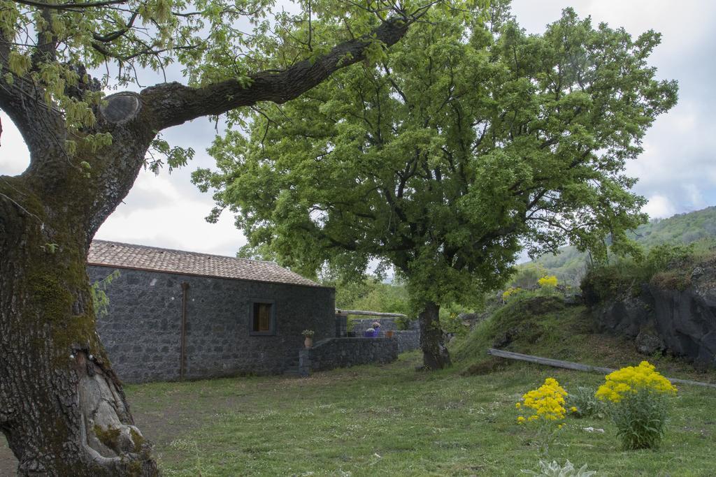 Villa Viola Nel Parco SantʼAlfio Exterior foto