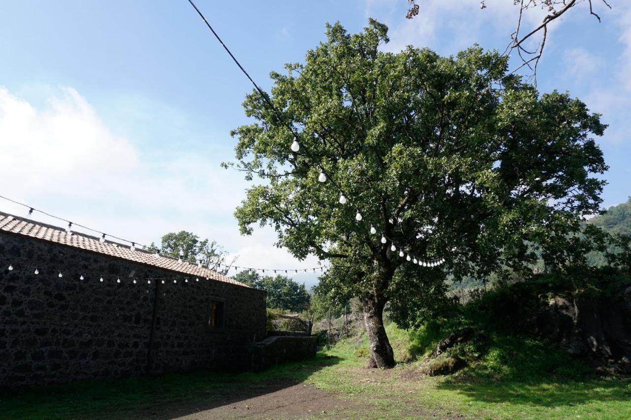 Villa Viola Nel Parco SantʼAlfio Exterior foto